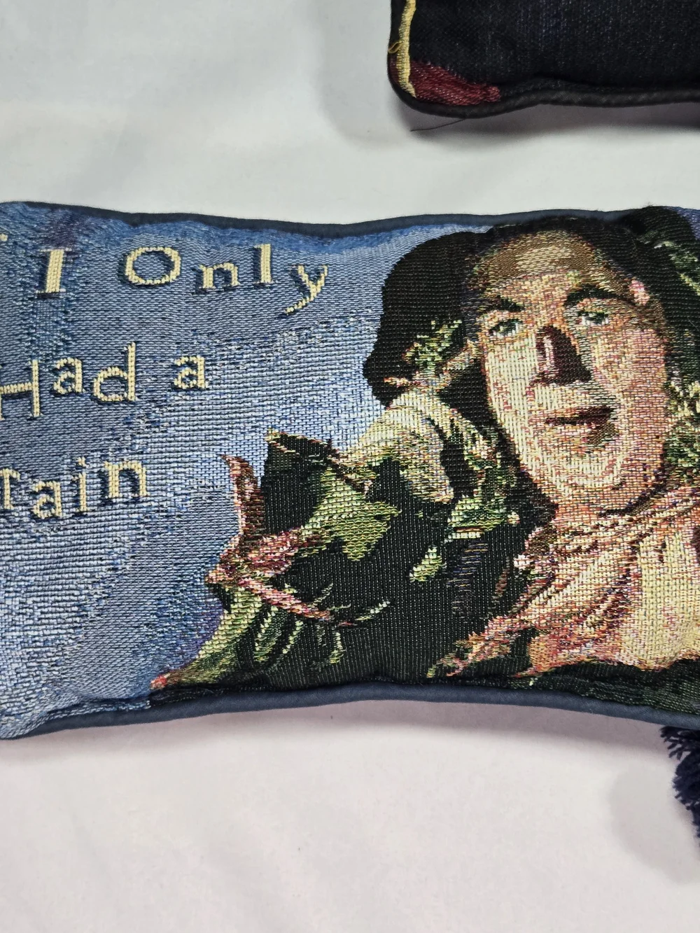Wizard Of Oz Tapestry Pillow Set (5) Witch Dorothy Scarecrow Tin Man  Kansas KS